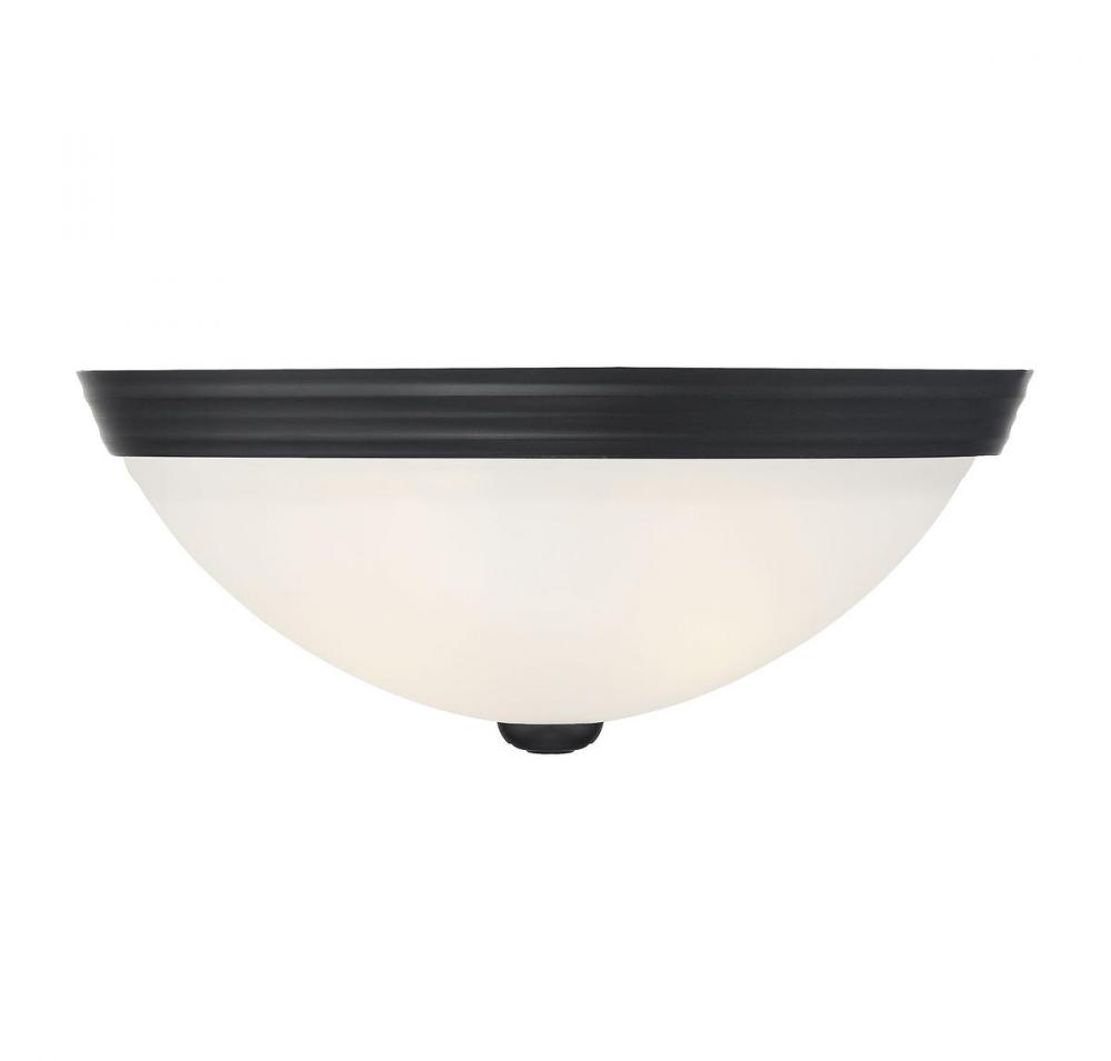 2-Light Ceiling Light in Matte Black