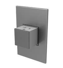Legrand ARPTR201GM2 - adorne? 20A One-Gang Pop-Out Outlet, Magnesium