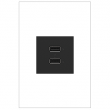 Legrand ARUSB2AA6G4 - adorne? Ultra-Fast USB Type-A/A Outlet Module, Graphite