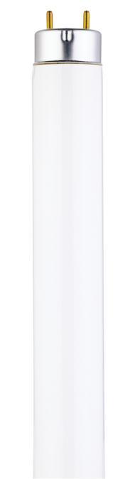 17W T8 Linear Fluorescent Cool White Medium BiPin Base, Sleeve