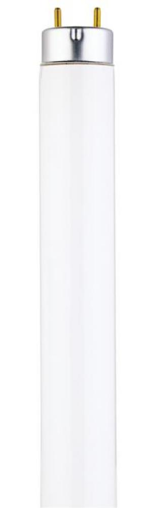 15W T8 Linear Fluorescent Cool White Medium BiPin Base, Sleeve