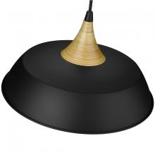 Millennium 4511-MB - Arlo 1-Light Pendant light Matte Black