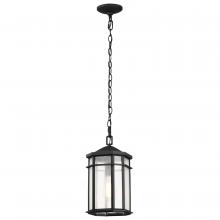 Nuvo 60/5759 - Raiden Collection Outdoor 14.5 inch Hanging Light; Matte Black Finish with Clear Seedy Glass