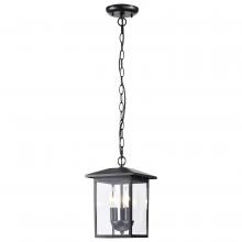 Nuvo 60/5933 - Jamesport Collection Outdoor 11 inch Hanging Light; Matte Black with Clear Glass