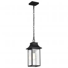 Nuvo 60/5996 - Austen Collection Outdoor 17 inch Hanging Light; Matte Black Finish with Clear Water Glass