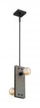 Nuvo 60/7232 - Stella - 2 Light Mini Pendant with- Driftwood and Black Accents Finish