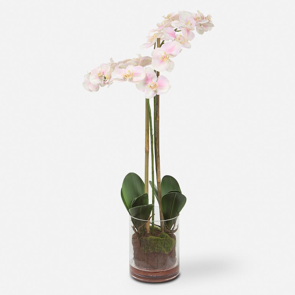 Uttermost Blush Pink and White Orchid