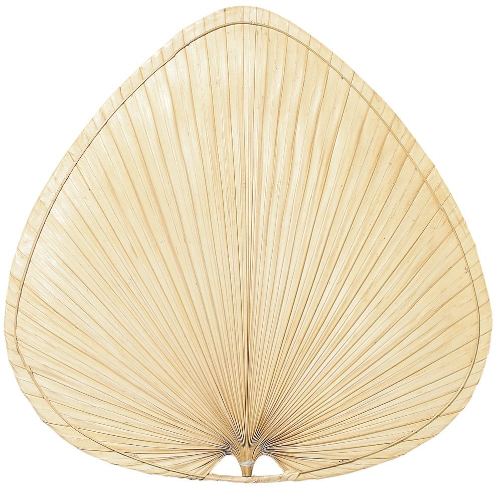 18" BLADE: WIDE OVAL PALM - SET OF 5